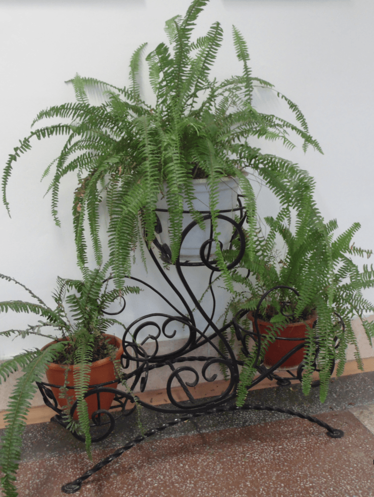 Металлические подставки для цветов — изображение 4